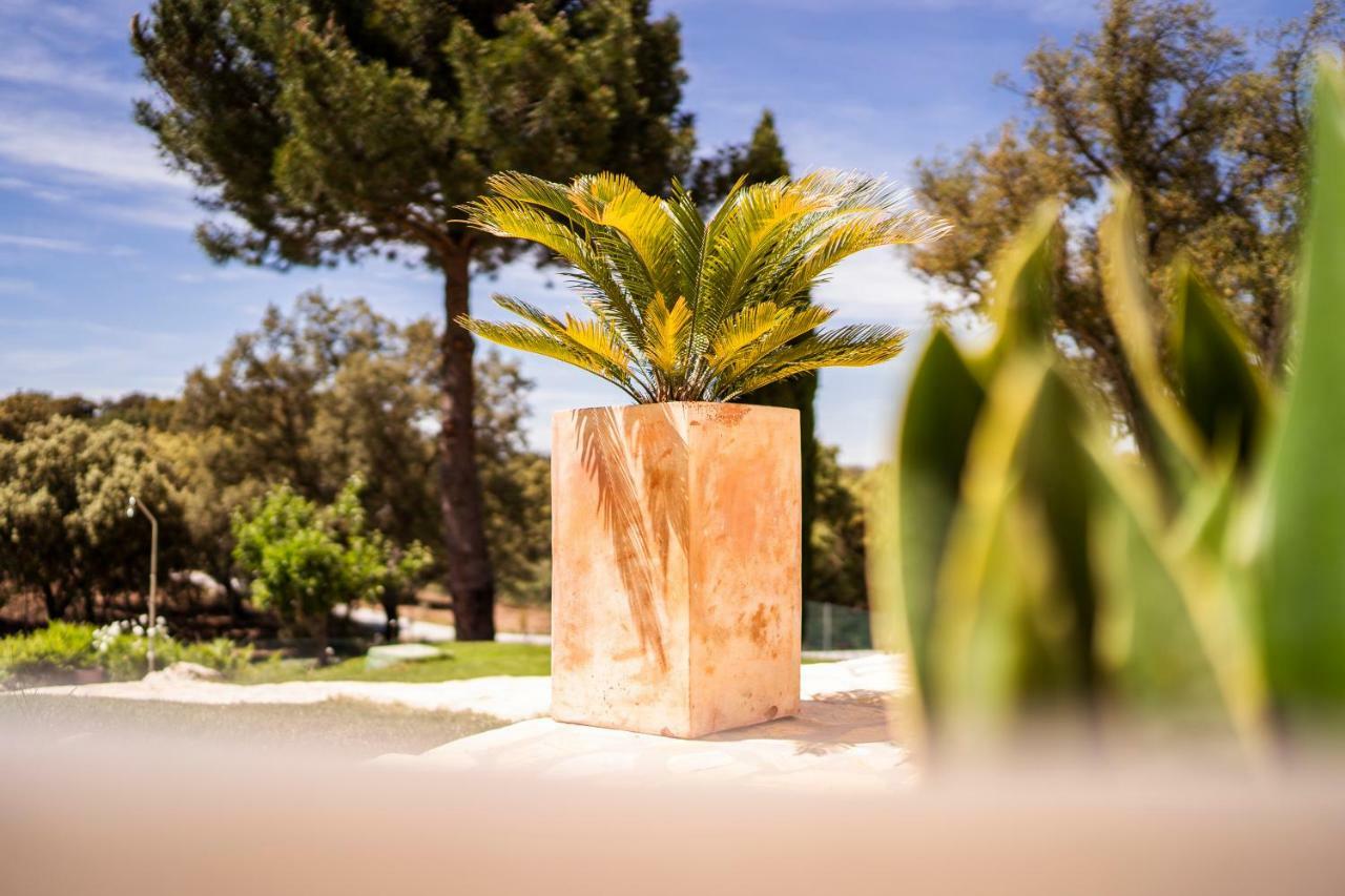 Villa Valparaiso Alhama de Granada Eksteriør billede